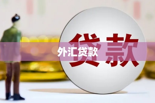 福鼎外汇贷款