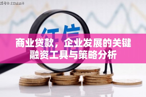 福鼎商业贷款，企业发展的关键融资工具与策略分析