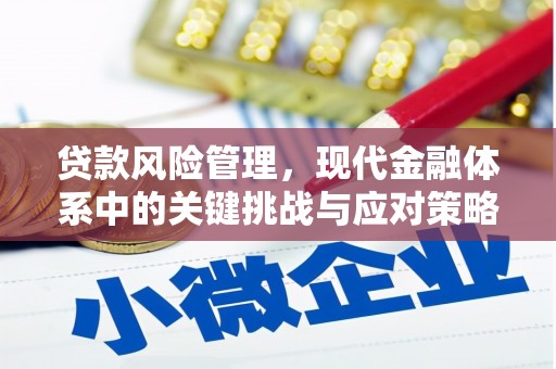 福鼎贷款风险管理，现代金融体系中的关键挑战与应对策略