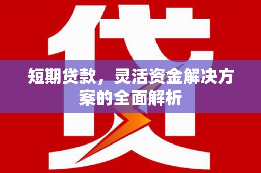 福鼎短期贷款，灵活资金解决方案的全面解析