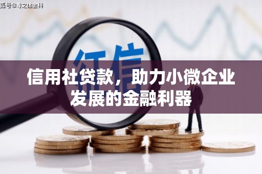 福鼎信用社贷款，助力小微企业发展的金融利器