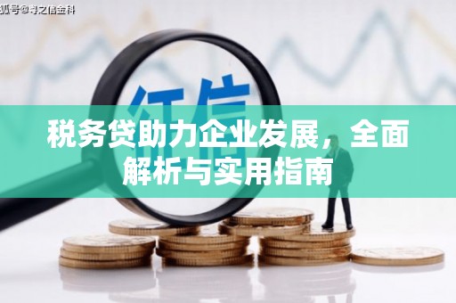 福鼎税务贷助力企业发展，全面解析与实用指南