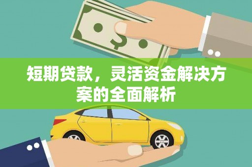 福鼎短期贷款，灵活资金解决方案的全面解析
