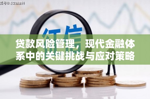 福鼎贷款风险管理，现代金融体系中的关键挑战与应对策略