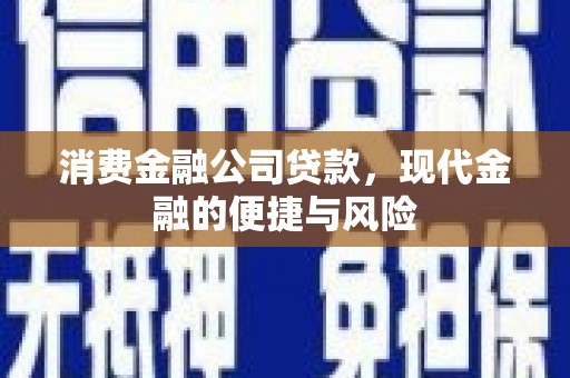 福鼎消费金融公司贷款，现代金融的便捷与风险