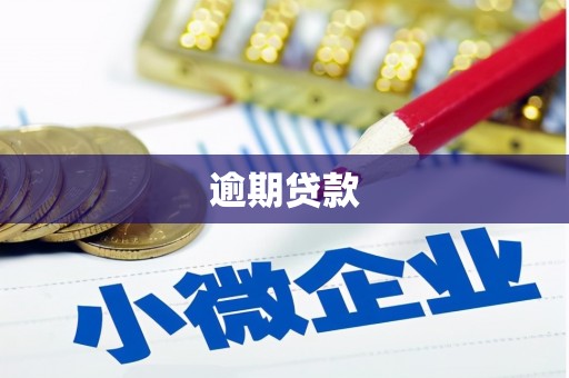 福鼎逾期贷款