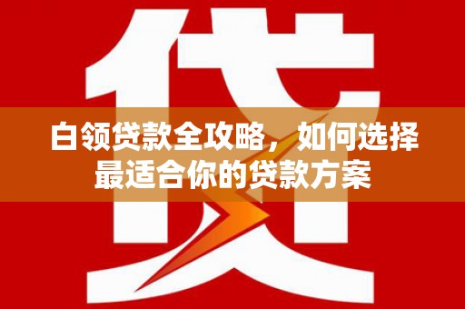 福鼎白领贷款全攻略，如何选择最适合你的贷款方案